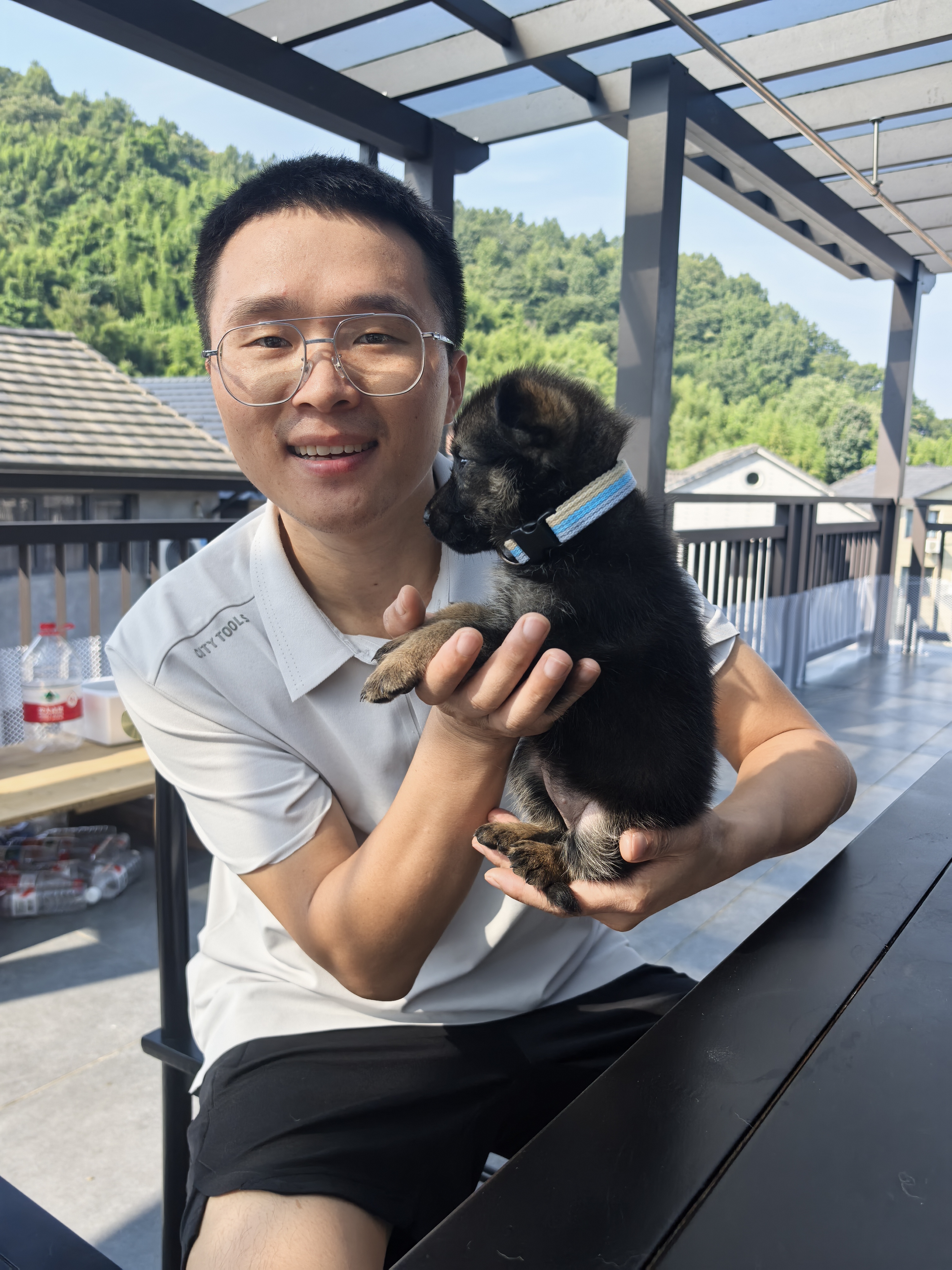 三只双血统东德（带芯片+防丢定位器）